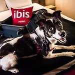 Ibis Centre 3*