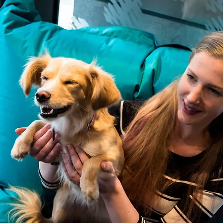 Ξενοδοχείο Ibis Centre