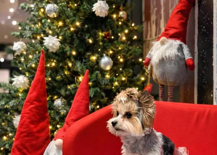 Hotel Ibis Centre 3*