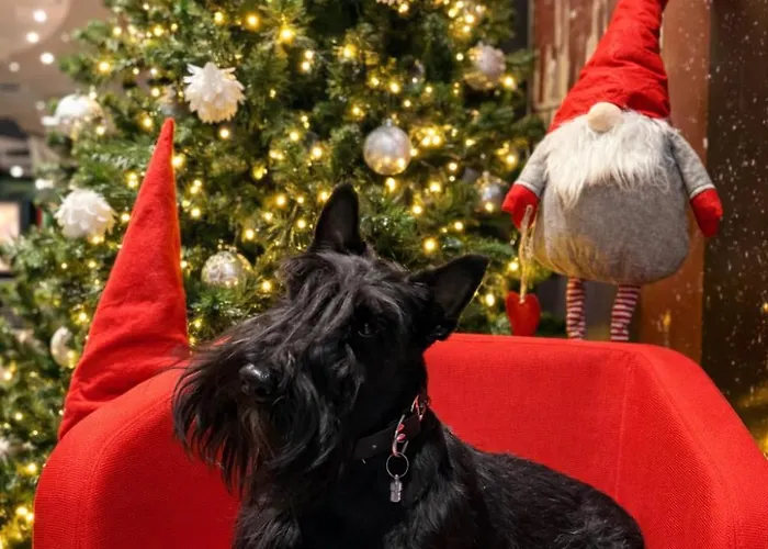 Ibis Centre 酒店 维尔纽斯