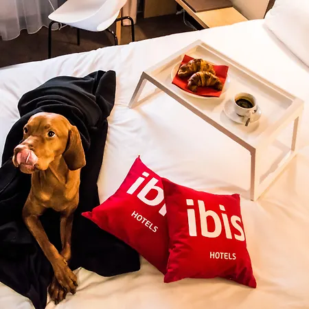 酒店 Ibis Centre