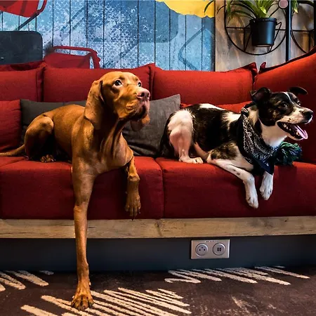 Ibis Centre 维尔纽斯